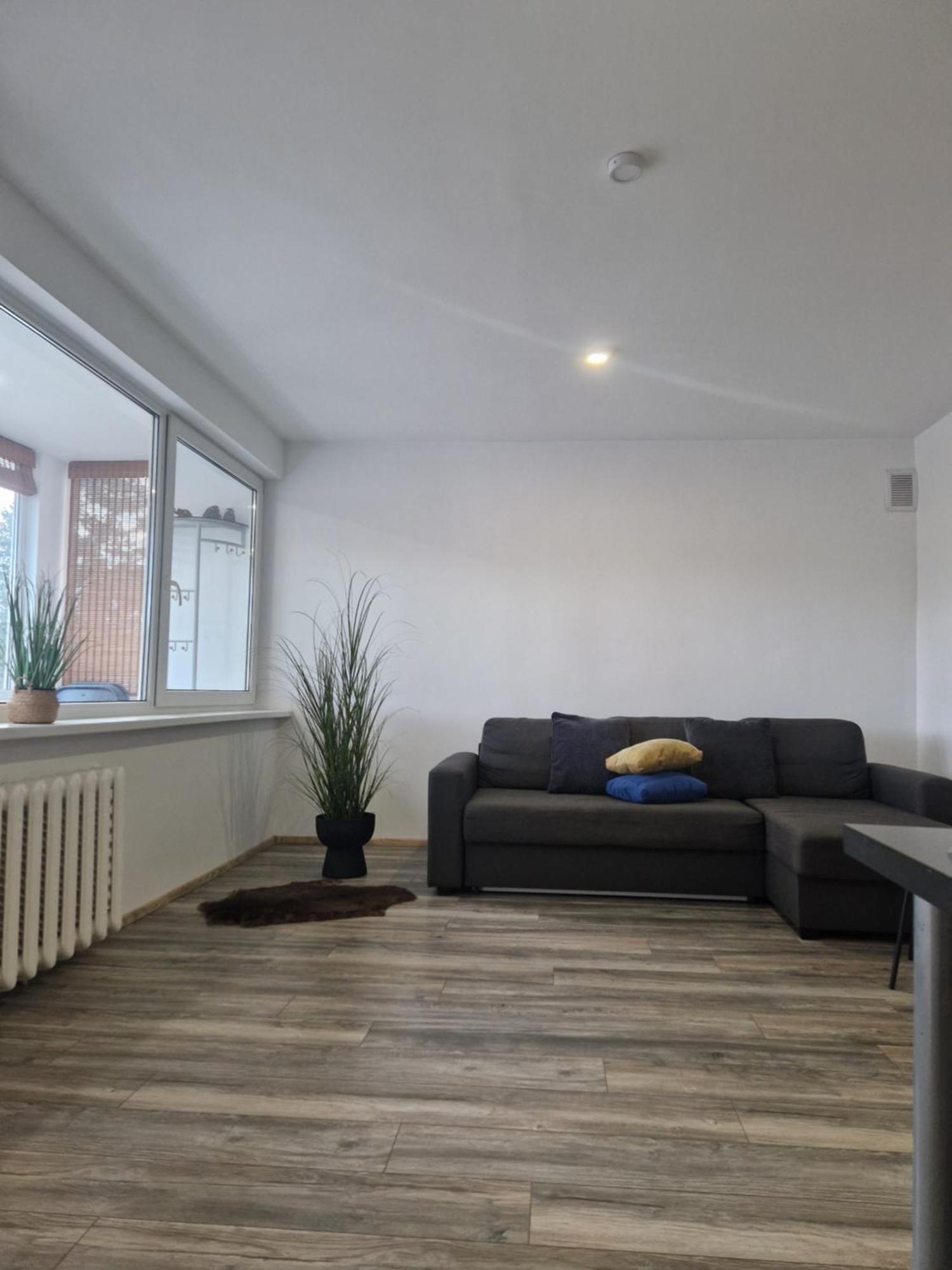 Duplex Apartment Vilte Druskininkai Exteriér fotografie
